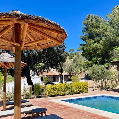 Finca El Sueno Andaluz Villanueva de la Concepción Zewnętrze zdjęcie