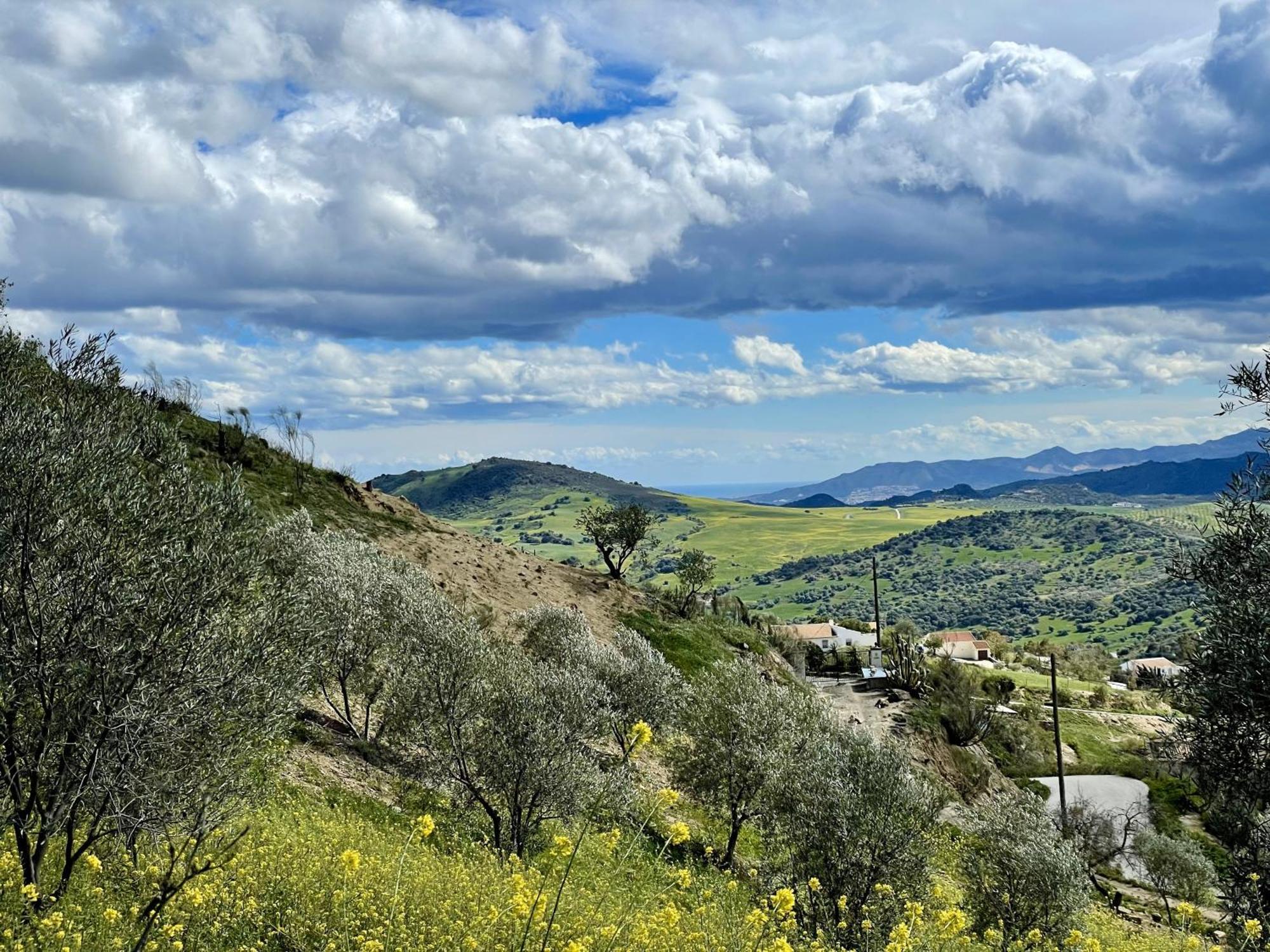 Finca El Sueno Andaluz Villanueva de la Concepción Zewnętrze zdjęcie
