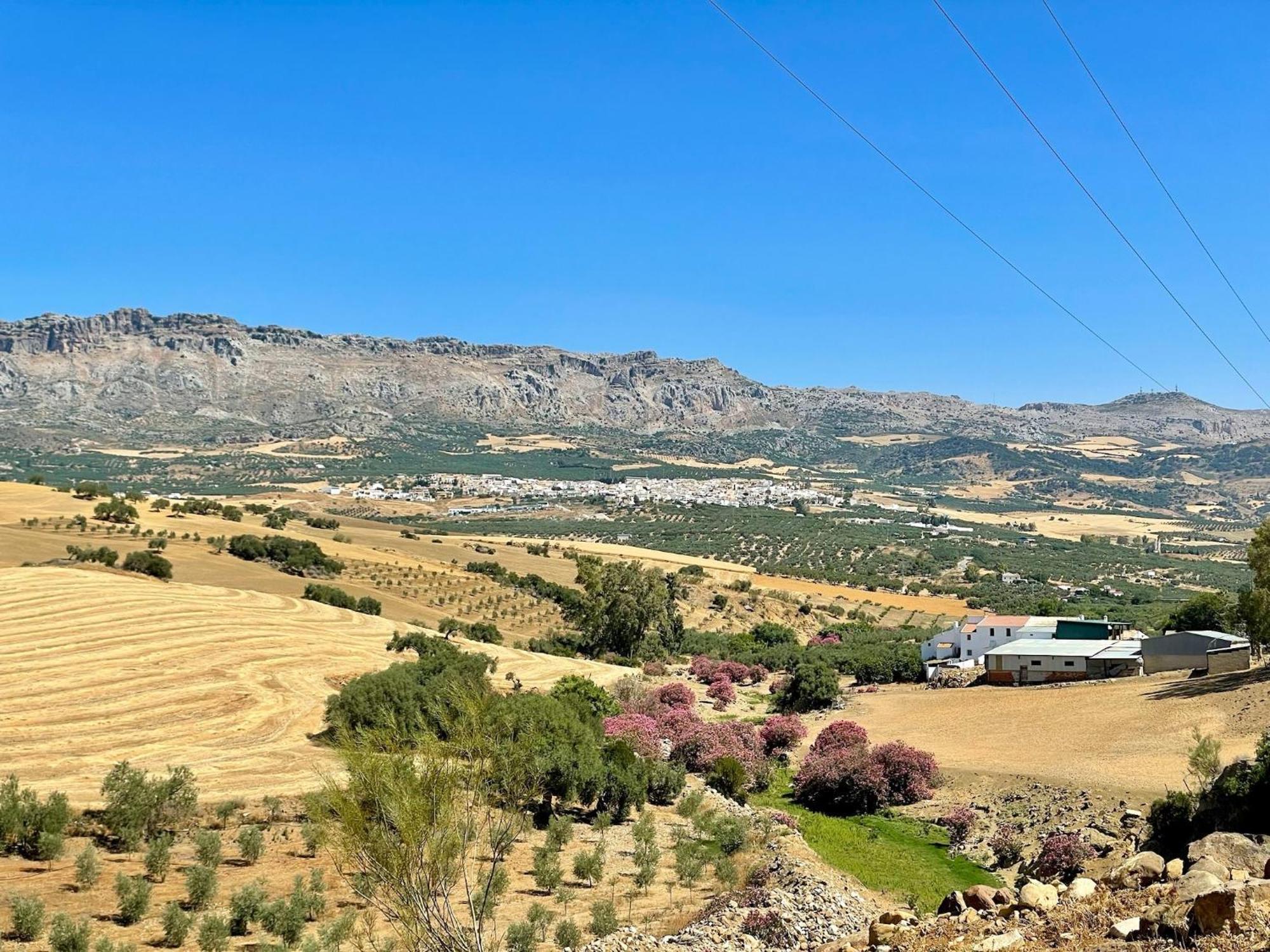 Finca El Sueno Andaluz Villanueva de la Concepción Zewnętrze zdjęcie