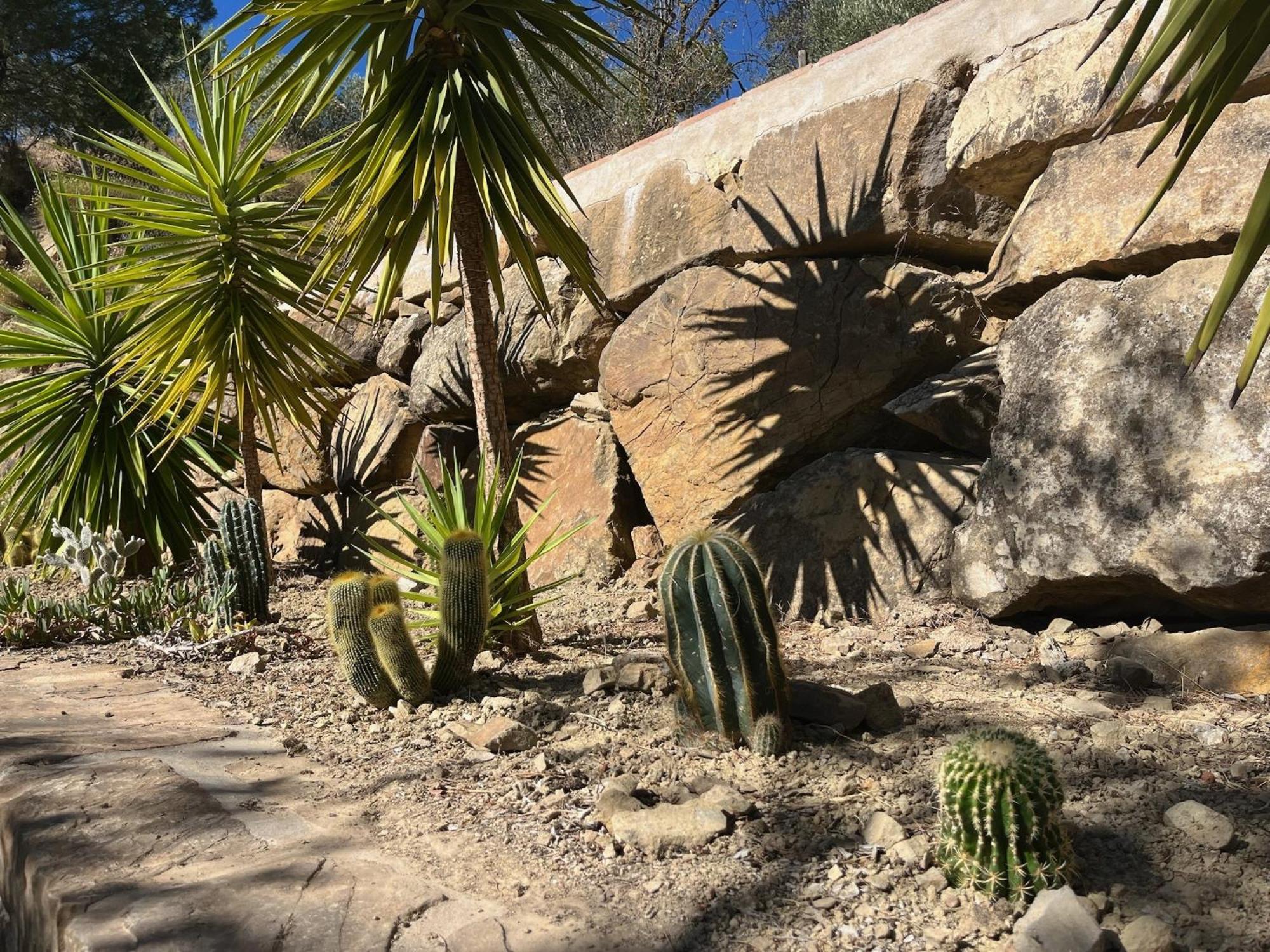 Finca El Sueno Andaluz Villanueva de la Concepción Zewnętrze zdjęcie